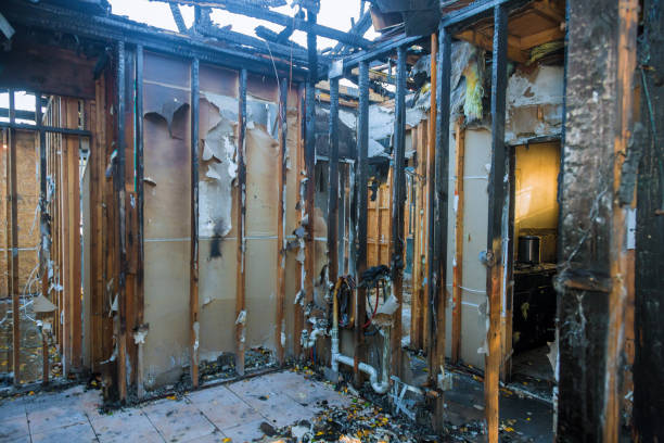 Professional Soot Cleanup technician working in North Port, FL