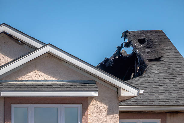 Top rated local Soot Cleanup specialists in North Port, FL